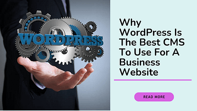 why is wordpress best for business website image